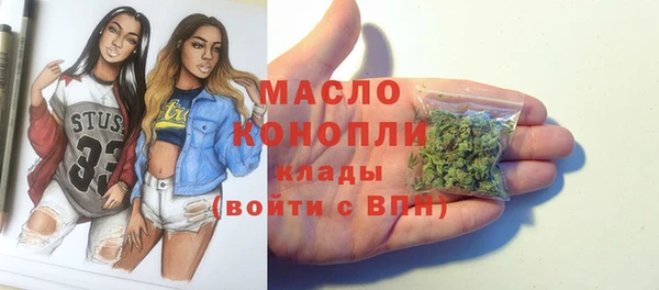 трава Инта