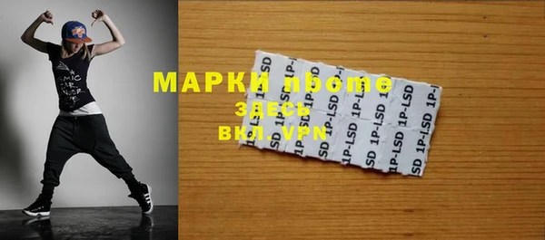трава Инта