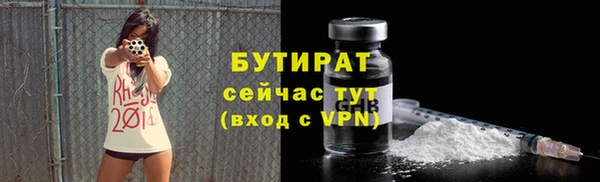 трава Инта
