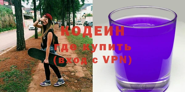 трава Инта