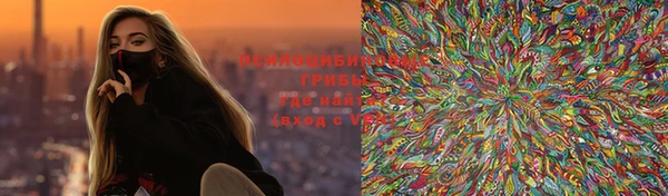 трава Инта
