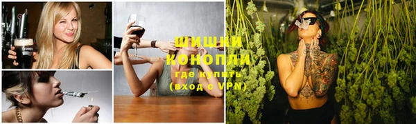 трава Инта