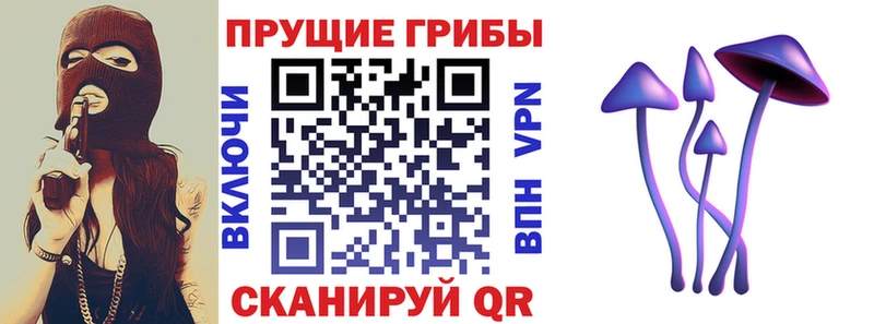 Купить где  Рудня  Псилоцибиновые грибы Psilocybine cubensis 